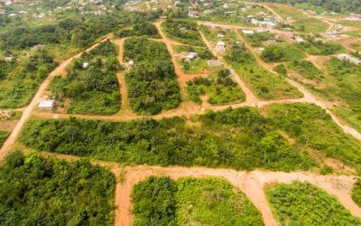 5 erreurs à éviter avant d’acheter un terrain au Cameroun