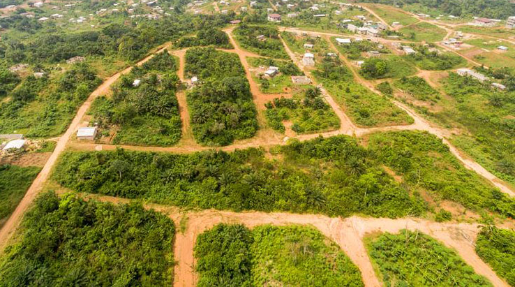 5 erreurs à éviter avant d’acheter un terrain au Cameroun
